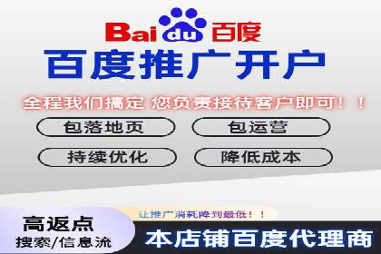 某行业领军企业的SEM广告投放策略